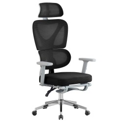 Sillón de oficina DURBUY, alto, ergonómico, gris