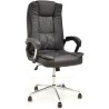 Sillón de oficina DUKE, alto, gas, basculante