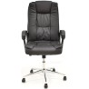 Sillón de oficina DUKE, alto, gas, basculante